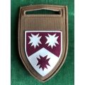3 MEDICAL GROUP BATTALION TUPPER FLASH- ONE PIN