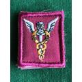 SA MEDICAL SERVICES,HEALTH OFFICERS CLOTH,BREAST BADGE-APPROVED IN 1991