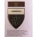 SPECIAL FORCES SCHOOL FLASH- 3 PINS