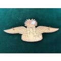 SWAZILAND DISPATCHER WING-BLUE WINGS WITH GOLD CENTRE,CROWN- 2 PINS