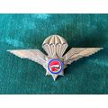 SA POLICE VLAKPLAAS PARACHUTE WINGS- GILT WINGS WITH ENAMEL CENTRE- 2 PINS