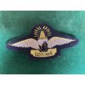 SWAZILAND INSTRUCTOR (GOLD)PARACHUTE WING