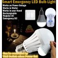 NEW Smart LED Bulb Light, Works on Power cuts, In Water, In your Hand, Regular AC, Emergency DC, Pin
