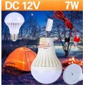 DC 12V E27 7W High Power Light Bulb with Adapter, Wire & Crocodile Clamps