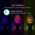 Motion Activated 8 Colour LED Toilet Night Light, Easy Installation & Light Sensitive