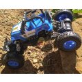 1:18 Remote Control Rock Crawler Conquer all terrain, 50° Slope Climbing Ability, Powerful & Fast