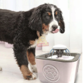 Pets Water Drinking Fountain, 2.5L Water Capacity
