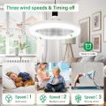2 in 1 - 30W Aromatherapy LED Light with Build-in Fan with 3 Speed Settings and Remote