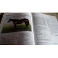 Stallion Register - Horses in Racing Book