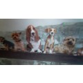 3D Row of Dogs Wall Hanging