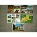 5 x  Old Posted South African Postcards