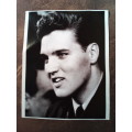 Elvis Presley Photo Poster Print