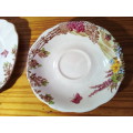 Royal Standard `Sussex Downs` Saucer & Side Dish