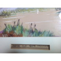 Framed Watercolour Painting - Zeekoe Vlei Cape Province