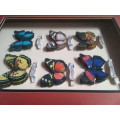 3D Butterfly Art in Box Frame - See Description