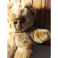 Soft & Cuddly Bunjy Toys Brown Teddybear
