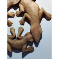 Carved Wooden Triple Joined Gekko Wall Hanging