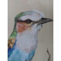 Spectacular Rose Buric watercolour of a bird Value R3500