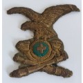 Very Rare!! WW2 Italian facist cloth badge Wow!!