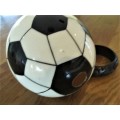 FOR THE SOCCER ENTHUSIAST - A STUNNING PAINTED SOCCER BALL OSTRICH EGG! WITH WOODEN STAND