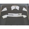A FRAMED MINIATURE NATAL RUGBY JERSEY WITH PRE-SHARKIE, PRE-1995 WILDEBEEST LOGO