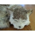 A REALISTIC SLEEPING CAT MADE FROM ARTIFICIAL "FUR"