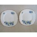 TWO COLLECTABLE COLCLOUGH SIDE PLATES