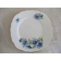 TWO COLLECTABLE COLCLOUGH SIDE PLATES