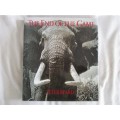 BEAUTIFUL, SHOCKING, THOUGHT PROVOKING - THE END OF THE GAME BY PETER BEARD - AS NEW