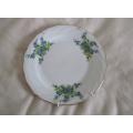 VINTAGE HAND PAINTED WINTERLING, BAVARIA DISPLAY PLATE WITH HANGER - FORGET-ME-NOTS