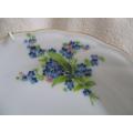 VINTAGE HAND PAINTED WINTERLING, BAVARIA DISPLAY PLATE WITH HANGER - FORGET-ME-NOTS