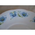 Lovely Queen Anne bone china cake server/plate