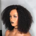 Afro Kinky Curly 13X4 Lace Front Wig Human Hair 14inch