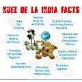 12 Seed Indian Nut Weight Loss.Perfect wonder .Nuez de la Slimming Cellulite, Detox.Body shape.fat
