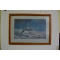Sea World by Jean Abrie stunning painting prints shark