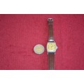 Delfin E Dox 1960's Swiss watch