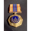 Pro patria medal