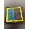 SA Army badge