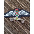 SA airforce Pilot wing silver