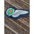 SA airforce Pilot half wing silver