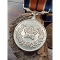 South Africa Border wall medals