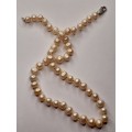 Pearl necklace 45cm long