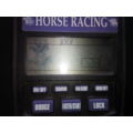 Handheld Electronic Horse Racing Game - Tiger