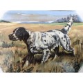 Decorative handpainted tile of a dog (Pointer)