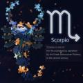 Jigsaw 500 Pieces Zodiac Horoscope Puzzle