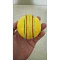 Indoor Cricket Ball - Brand New