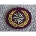 Recce - Beret Compass Rose Beret Badge (Bullion Wire - UK)