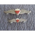 Authentic Freefall Wings with Lucited Red Rigging Lines + Mess Dress (Part - Recce Collection)