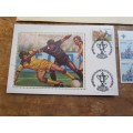 LIMITED EDITION SILK COVER + CARDS + STAMPS - 1 BID FOR THE LOT
