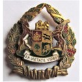 SA Prison Services Warrant Officer sleeve rank badge